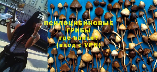 гашик Горняк