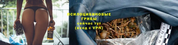 трава Горнозаводск