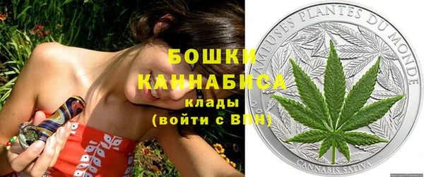 дурь Ладушкин