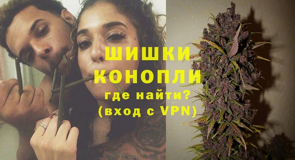 дурь Ладушкин