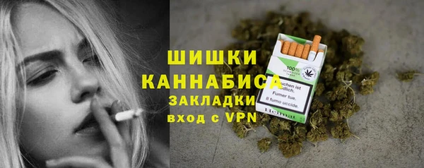 гашик Горняк